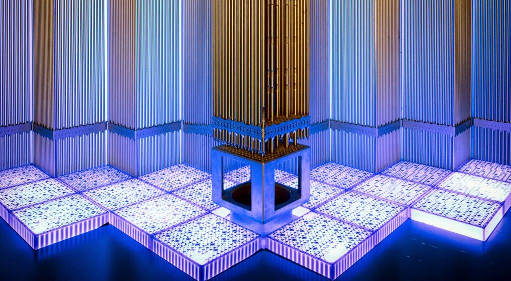 nuclear fuel rods in a power plant